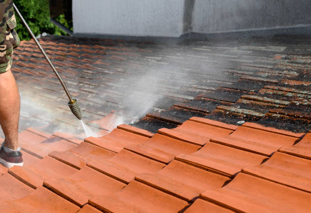 Best Residential Pressure Washing Services  in Harlingen, TX