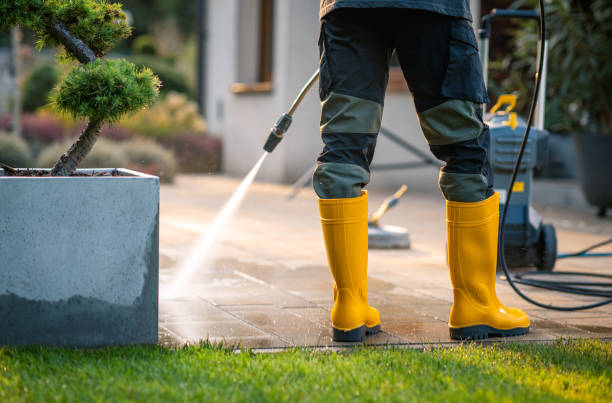 Best Pressure Washing Near Me  in Harlingen, TX